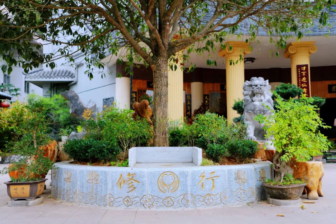 身心同調(diào) 智慧人生